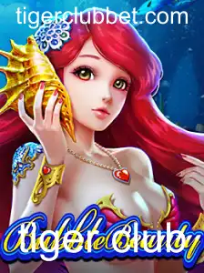 BubbleBeauty: Aventuras Inovadoras com o Tiger Club